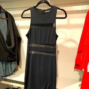 EXPRESS sheer panel dress (see more photos)